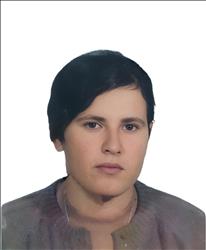 Χωρίς Φωτογραφία
